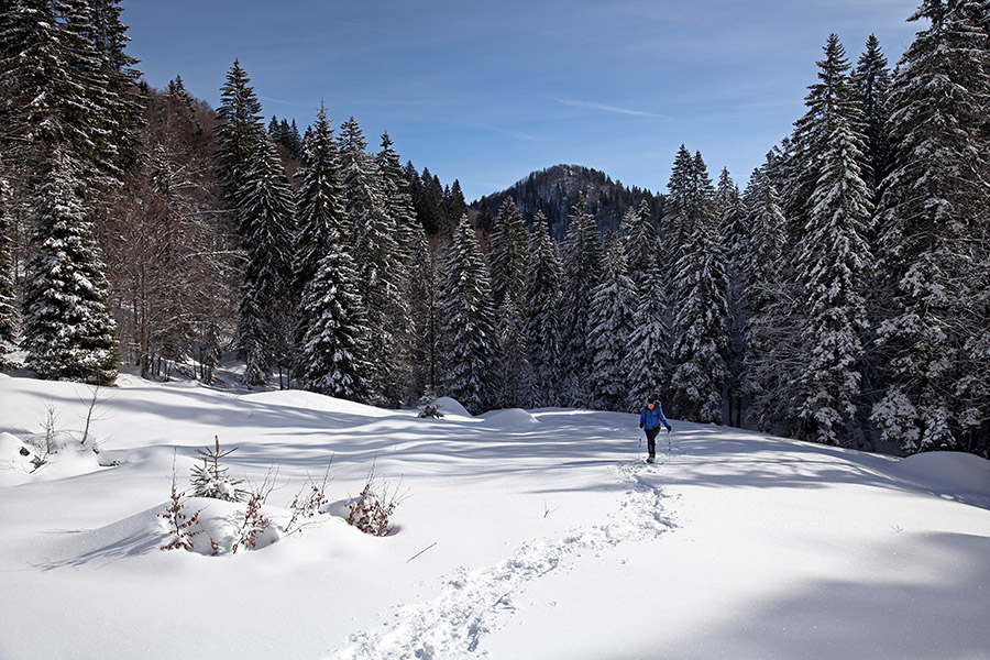 Planina za Črno goro
Po zasneženi planini.
Ključne besede: planina za črno goro