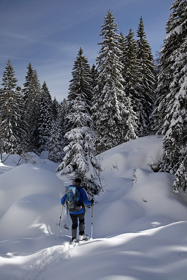 Planina za Črno goro
Po zasneženi planini za Črno goro.
Ključne besede: planina za črno goro