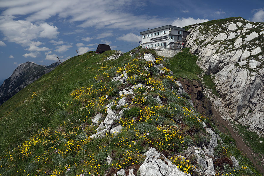 Črna prst
Črna prst.
Ključne besede: črna prst