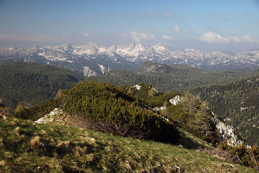 S poti na Ograde
Spodnje Bohinjske gore.
Ključne besede: ogradi spodnje bohinjske gore