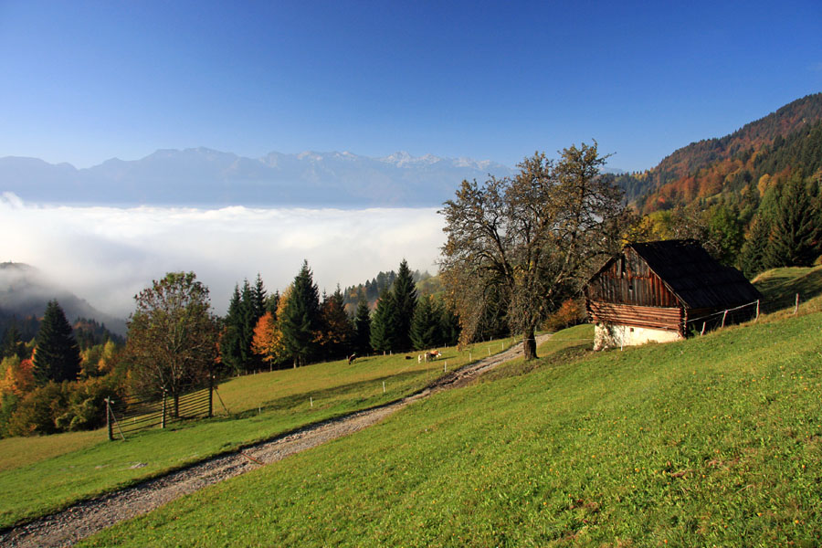 Nad megleno dolino II
Podjelje.

Ključne besede: podjelje bohinj jesen