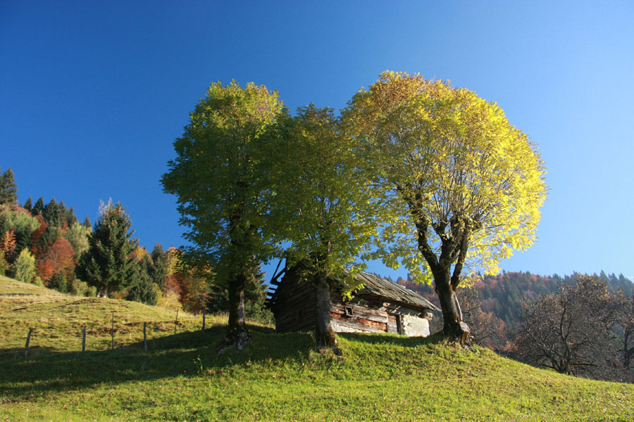 V barvah jeseni V
Podjelje.
Ključne besede: podjelje bohinj jesen