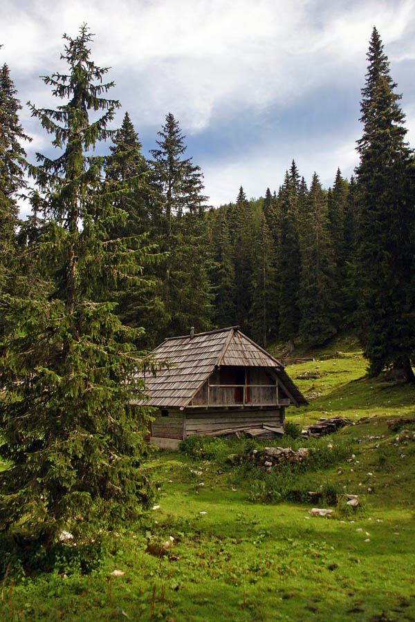 Planina Pečana
Stan na planini Pečana pod Ratitovcem.
Ključne besede: planina pečana ratitovec