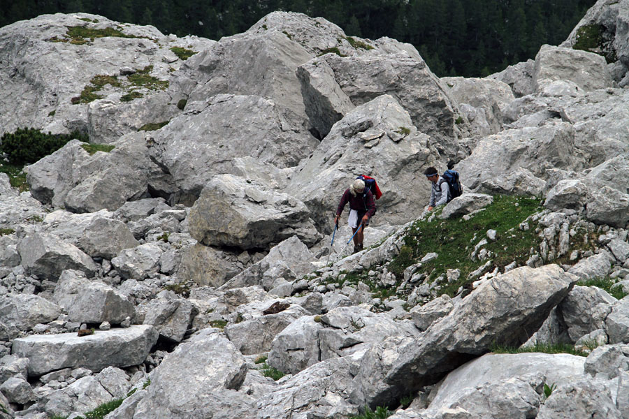 Mimo balvanov
Svet balvanov pod grebenom Brd.
Ključne besede: debeli lašt brda