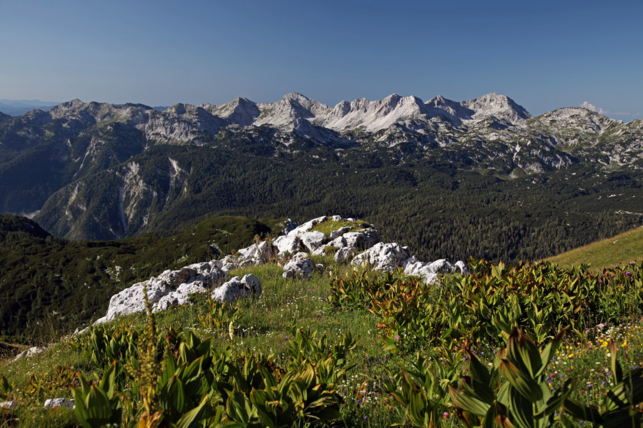 Pod Malo Tičarico
S poti na Malo Tičarico. Spodnje Bohinjske gore.
Ključne besede: mala tičarica spodnje bohinjske gore