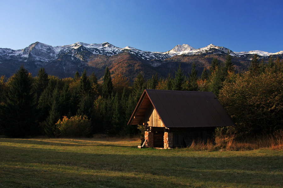 S poti na Rudnico
Senik v jesenskem jutru.
Keywords: rudnica bohinj