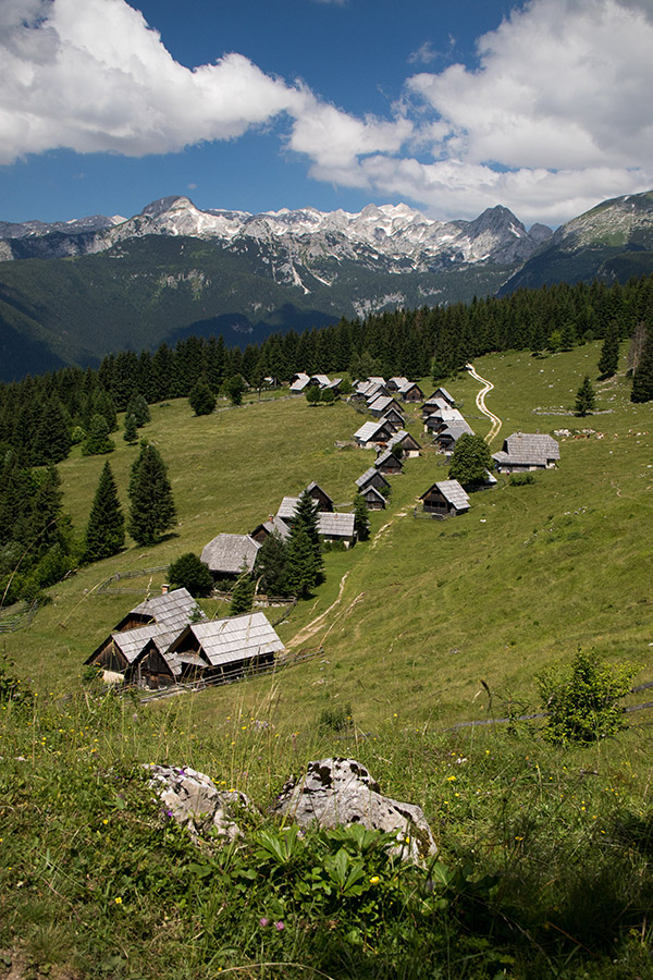 Na planini Zajamniki
Na planini Zajamniki.
Ključne besede: planina zajamniki
