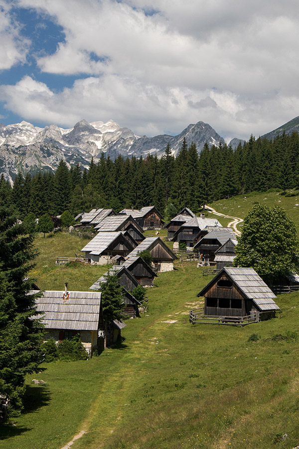 Na planini Zajamniki
Na planini Zajamniki.
Ključne besede: planina zajamniki