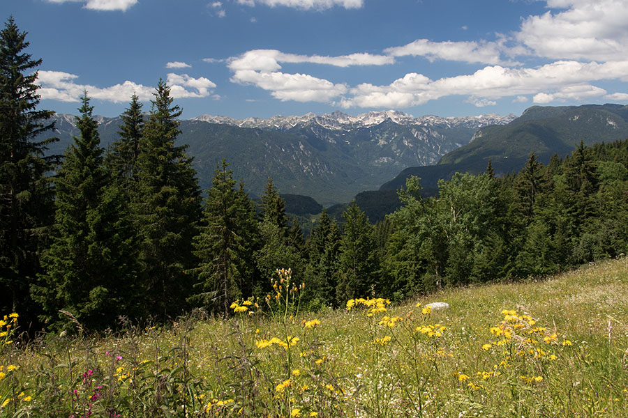 Na planini Zajamniki
Na planini Zajamniki.
Ključne besede: planina zajamniki
