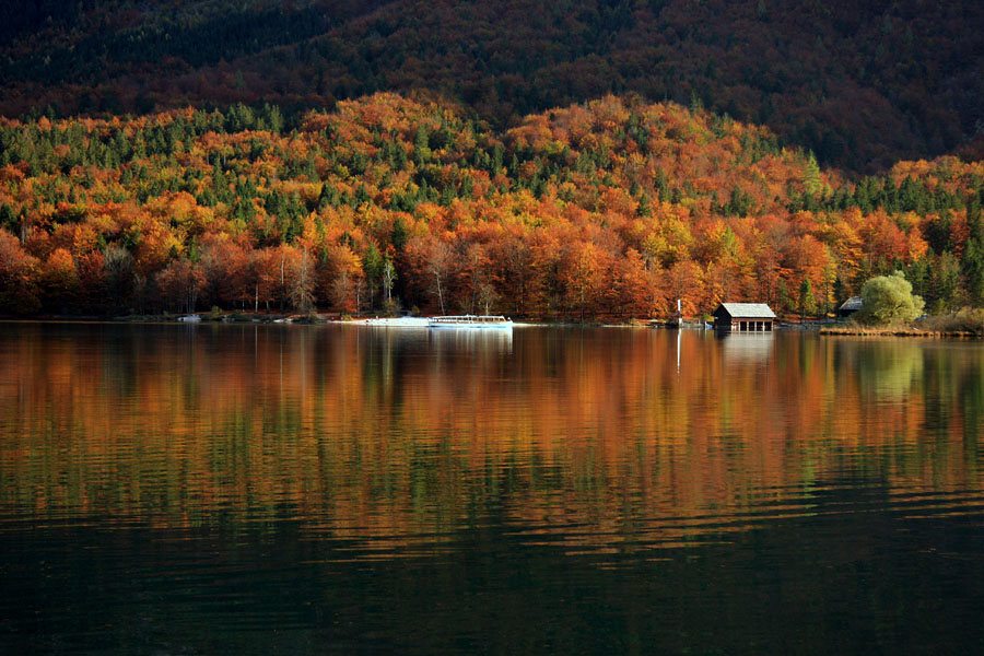Jesen ob jezeru
Jesen ob Bohinjskem jezeru.
Keywords: bohinj jesen bohinjsko jezero