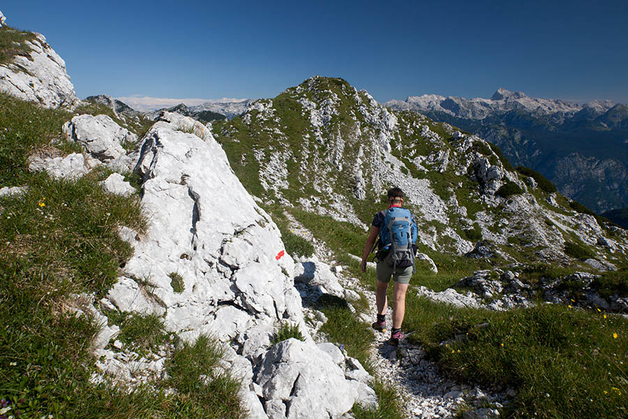 Proti Konjskemu sedlu
Nekje med Voglom in Rušnatim vrhom.
Ključne besede: bohinjski migovec vogel rušnati vrh