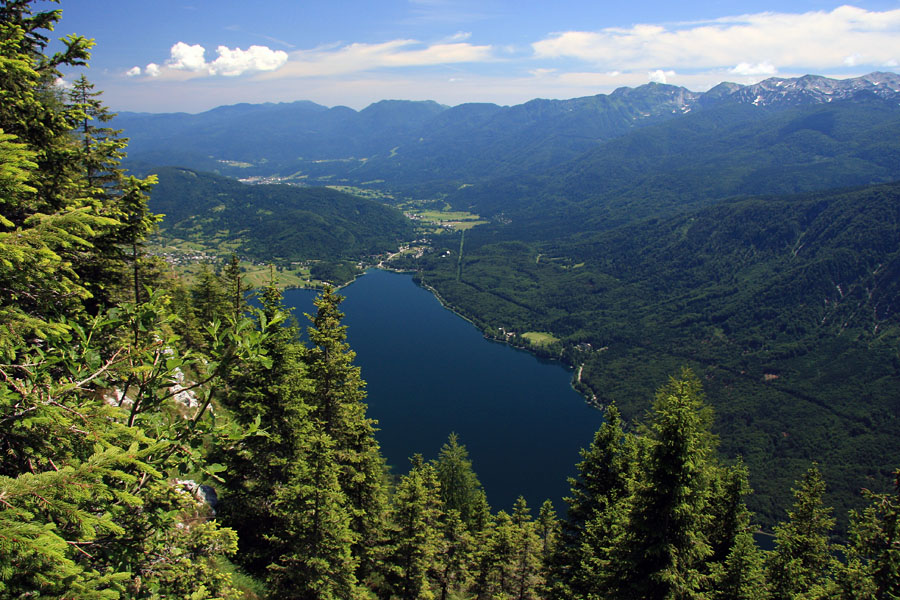Jezero s Pršivca
Bohinjsko jezero s Pršivca.
Ključne besede: bohinjsko jezero pršivec