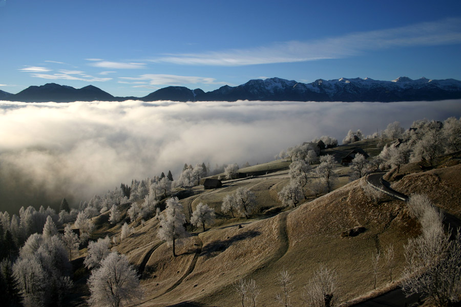 Pravljica
Tudi vasica Podjelje ima svojo pravljico... Pozna jesen v ivju.
Ključne besede: podjelje bohinj jesen