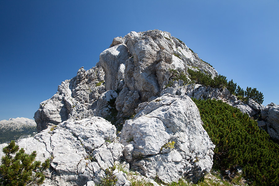 Bohinjski Migovec
Vršnji del Bohinjskega Migovca.
Ključne besede: bohinjski migovec