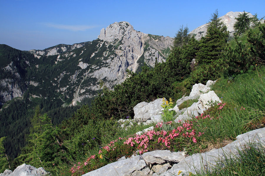 Pod Toscem
Jezerski Stog s poti okrog Tosca.
Ključne besede: tosc jezerski stog