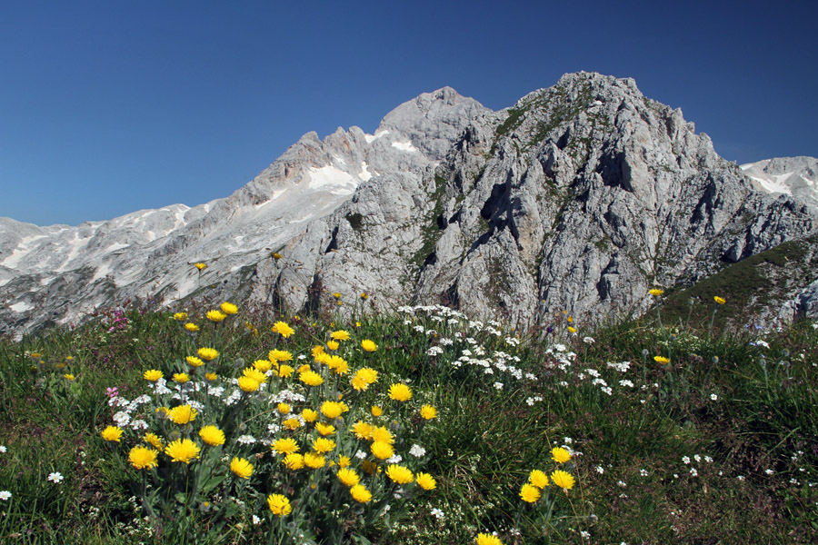 Vernar
Z grebena proti predvrhu Vernarja. Na sliki sta vrh Vernarja in Triglav.
Ključne besede: vernar triglav
