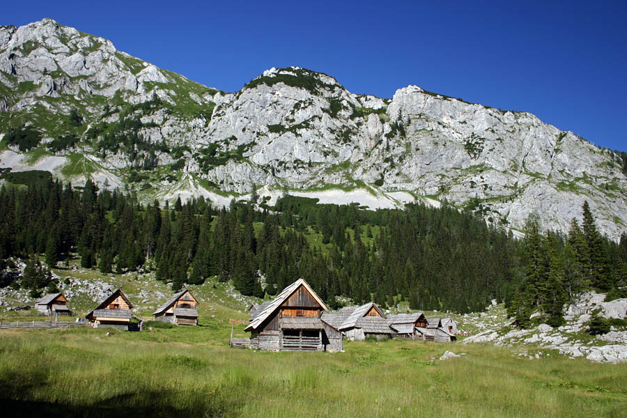 V Laz
Takole naju je pričakala planina Laz. 
Ključne besede: planina laz