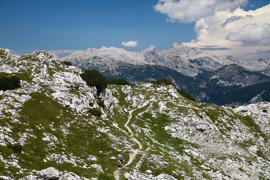 Pod Konjskim sedlom
Pot Konjsko sedlo - Komna.
Ključne besede: bohinjski migovec konjsko sedlo triglav
