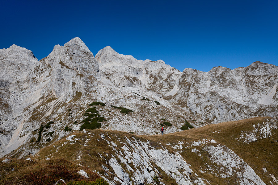 Na Prevalskem Stogu
Na prevalskem Stogu. Zadaj sta Vrh Hribaric in Škednjovec ter greben med Mišeljskim Koncem in Mišelj vrhom.
Ključne besede: jezerski prevalski stog vrh hribaric škednjovec mišeljski konec mišelj vrh