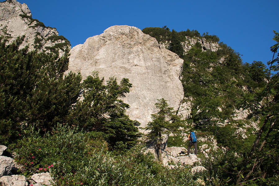 Pri balvanu
Eden od dveh ogromnih balvanov pod Žalostnico.
Ključne besede: žalostnica