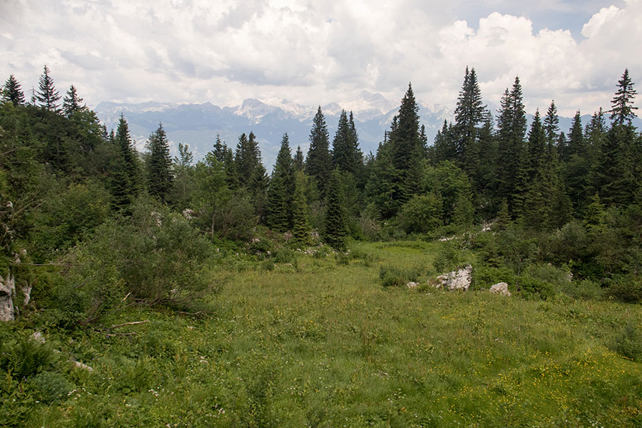 Nad planino Osredki
Nad planino Osredki.
Ključne besede: planina osredki