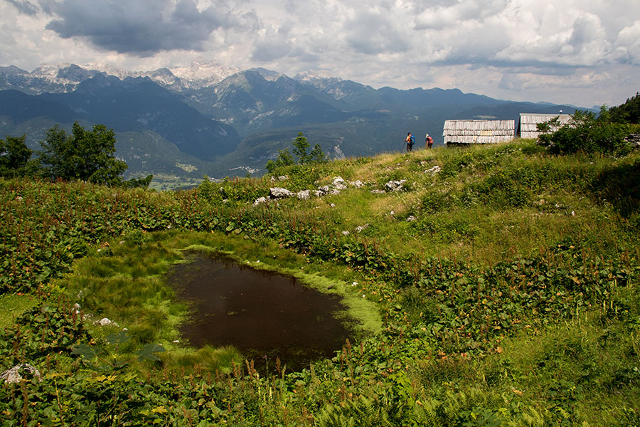 Planina Osredki
Na planini Osredki.
Ključne besede: planina osredki