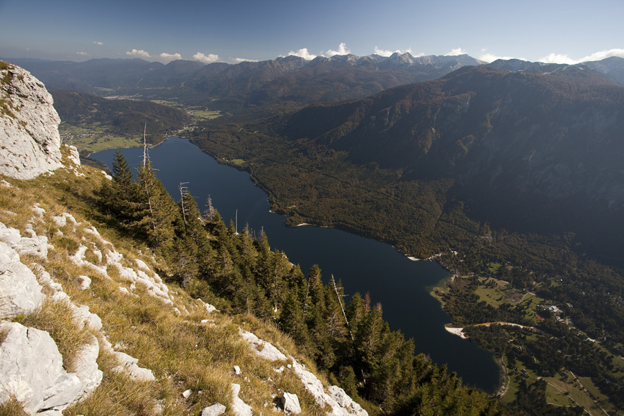 Razgled na jezero
Pot na Pršivec. Razgled na Bohinjsko jezero.
Ključne besede: pršivec bohinjsko jezero