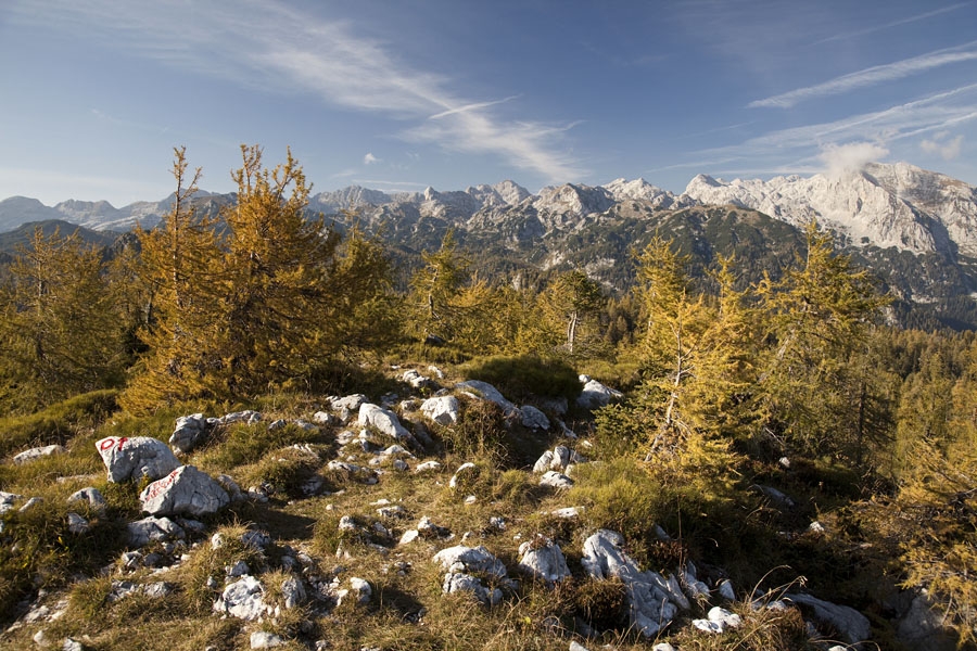 S Pršivca II.
S Pršivca.
Ključne besede: pršivec
