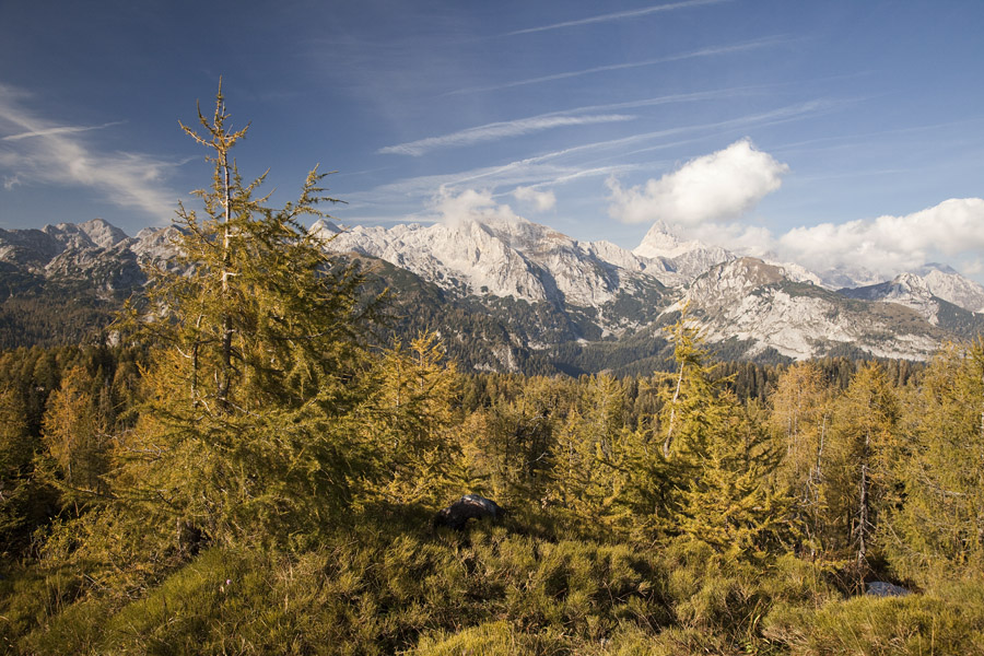 S Pršivca III.
S Pršivca.
Ključne besede: pršivec