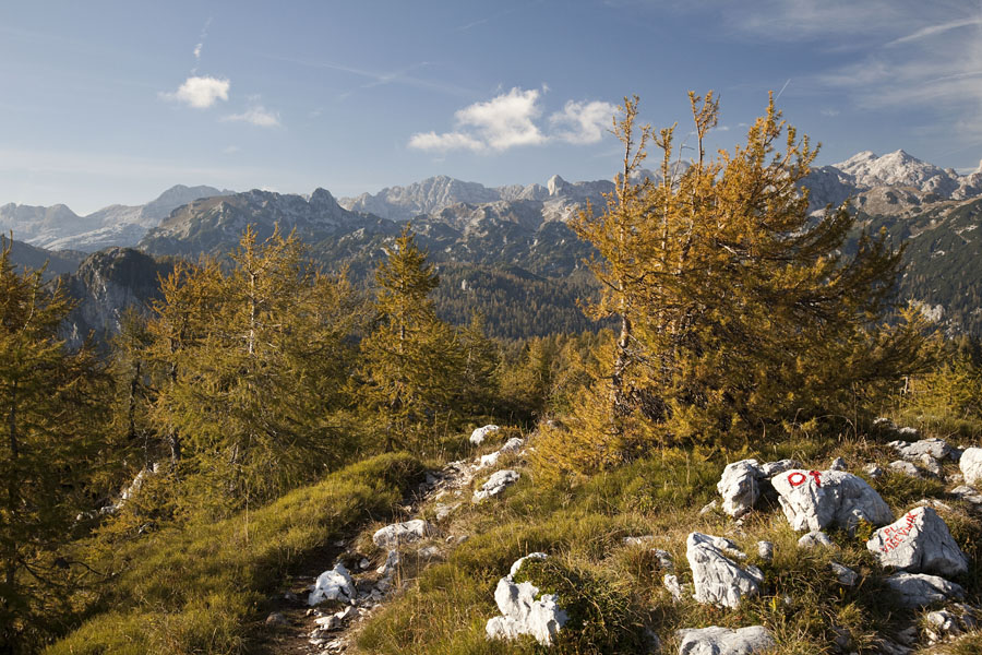 S Pršivca VI.
S Pršivca.
Ključne besede: pršivec
