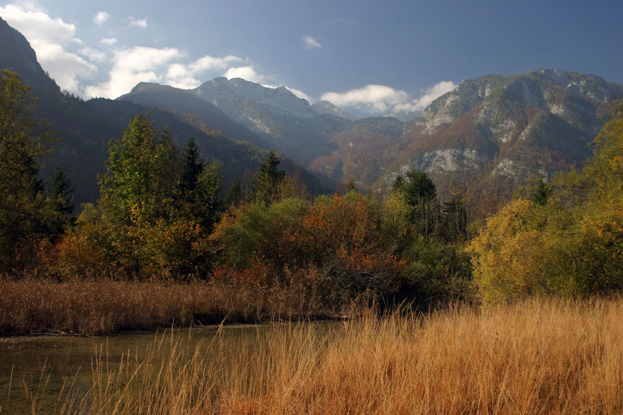 Jesen v Ukancu
Kraj kjer priteče Savica v Bohinjsko jezero.
Ključne besede: ukanc bohinjsko jezero