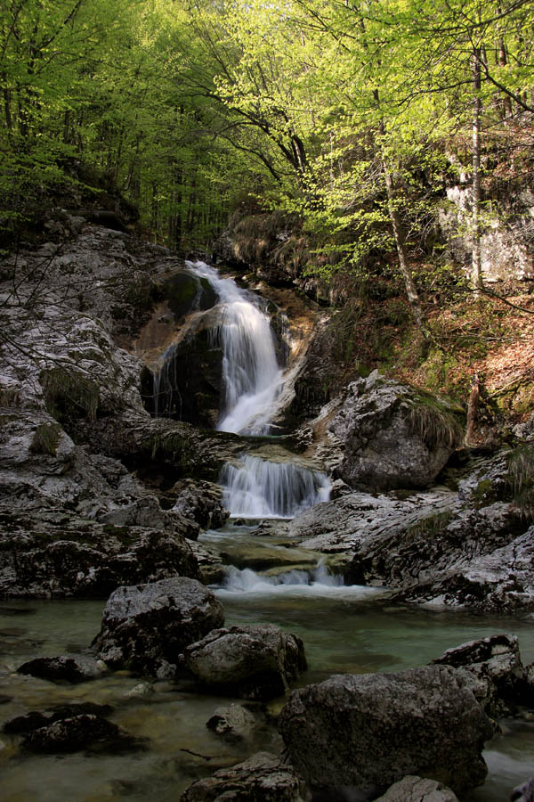Slapovi in brzice
Eden od mnogih hudourniških potokov v Bohinju.
Ključne besede: bohinj potok slap