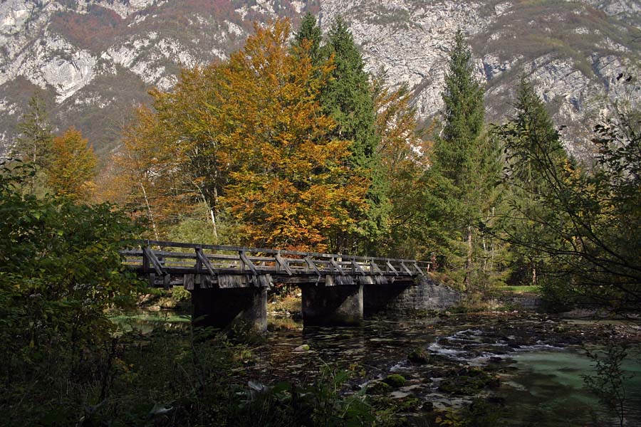 Most
Most čez Savico. V Ukancu.
Ključne besede: savica ukanc