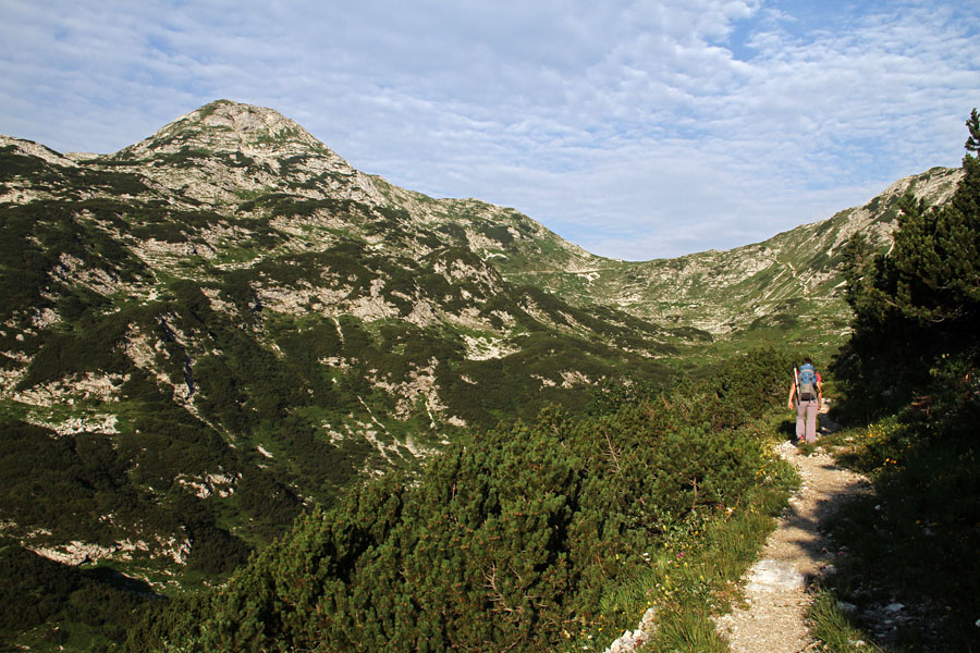 Pot na Bogatinsko sedlo
Pot na Bogatinsko sedlo.
Ključne besede: komna bogatinsko sedlo