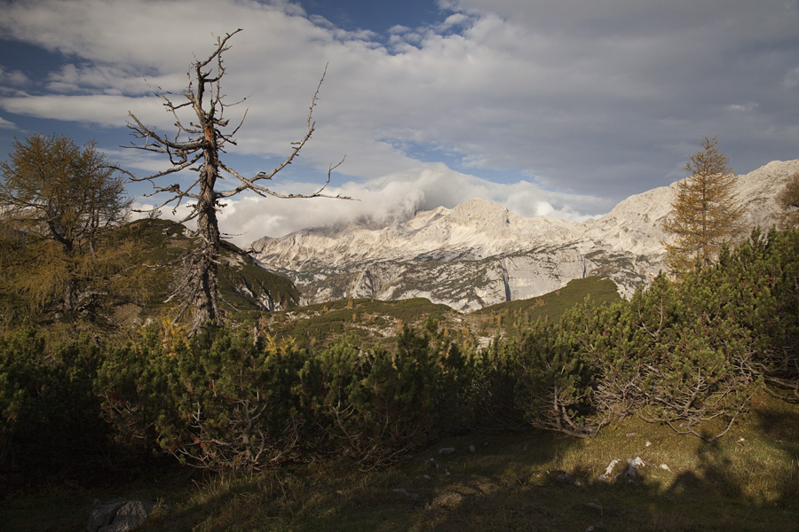S poti na Mrežce VI.
Proti Triglavu se oblači.
Ključne besede: mrežce lipanski vrh brda debela peč triglav