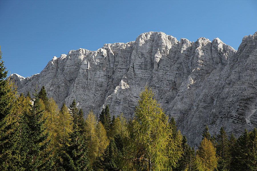 Lepo Špičje
Del Lepega Špičja s planine v Plazeh.
Ključne besede: lepo veliko špičje planina v plazeh