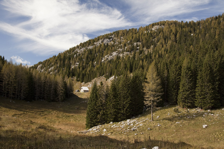 Planina v Plazeh III.
Lovska koča na planini v Plazeh.
Ključne besede: planina v plazeh