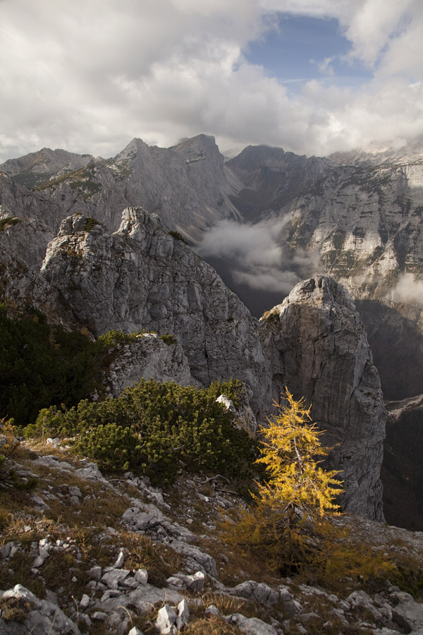 Z Brda III.
S poti na Brda.
Ključne besede: mrežce lipanski vrh brda debela peč