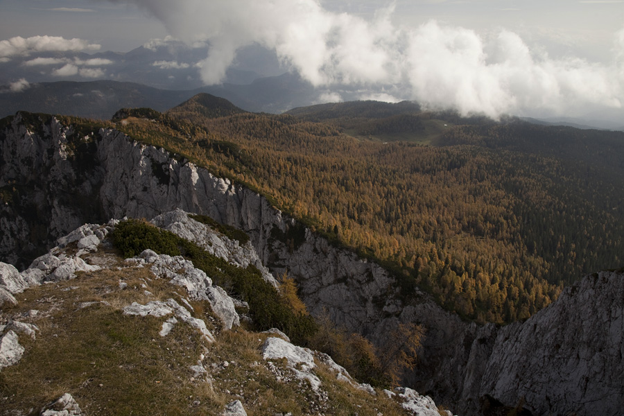Z Debele peči IV.
Gozdovi nad Pokljuko proti planini Klek.
Ključne besede: mrežce lipanski vrh brda debela peč pokljuka planina klek