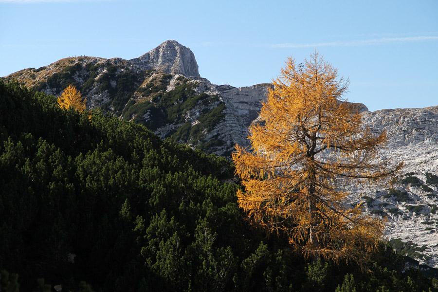 Krn
Krn z macesnom. Sestop z Velike Babe.
Ključne besede: velika bab krn