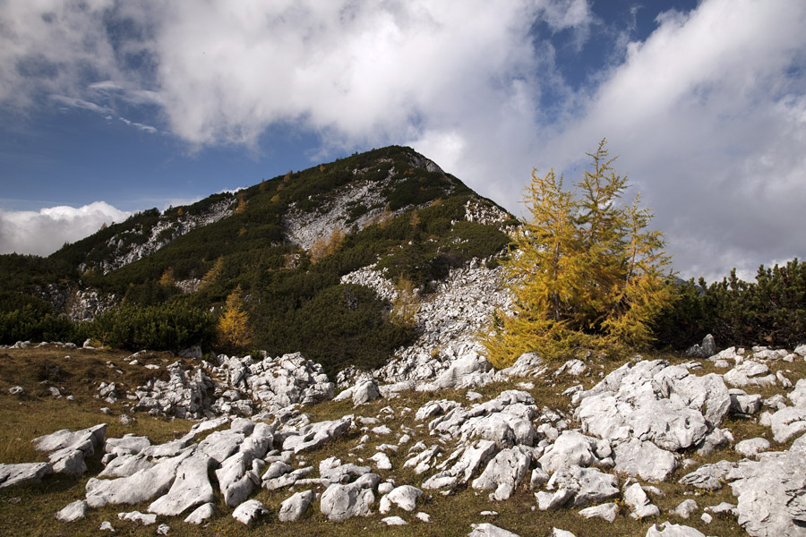 Brda I.
Brda v jesenskih barvah.
Ključne besede: mrežce lipanski vrh brda debela peč