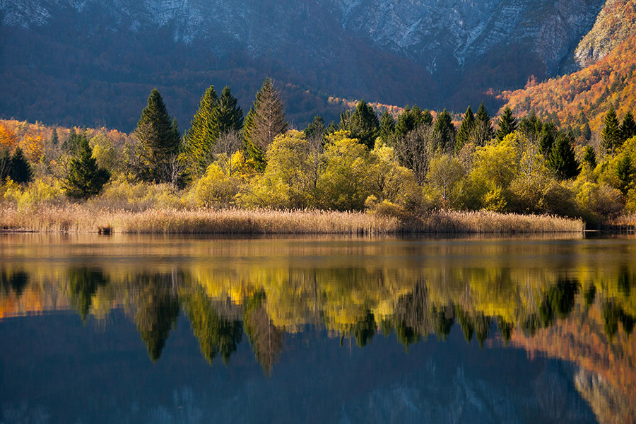 Bohinjsko jezero
Odsevi.
Ključne besede: bohinjsko jezero