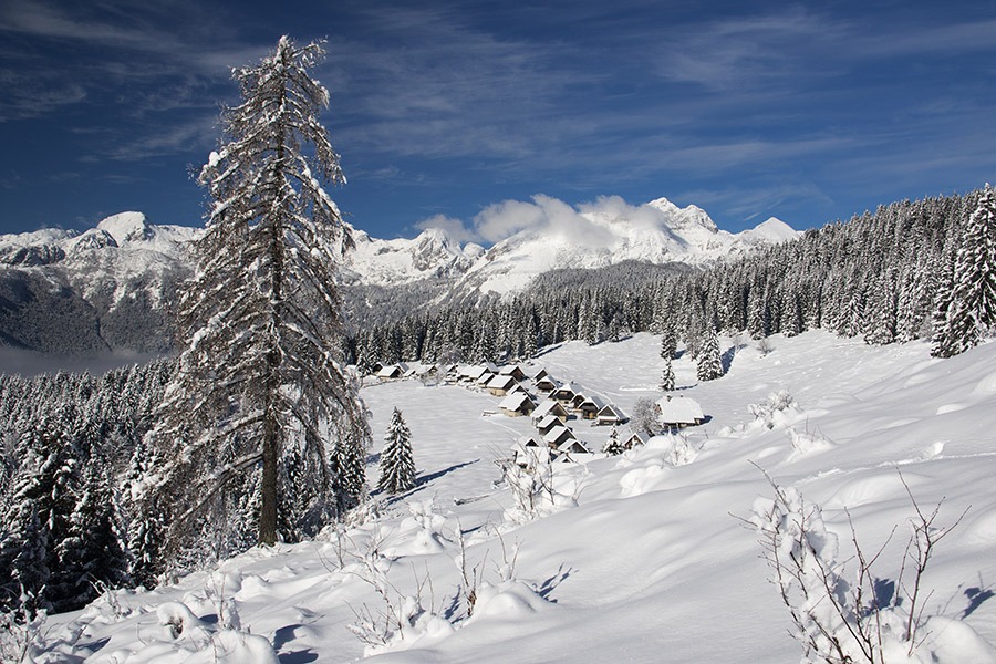 Planina Zajamniki
Lep zimski dan na planini Zajamniki.
Ključne besede: planina zajamniki