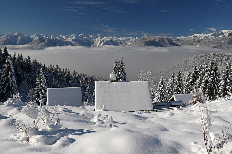 Planina Zajamniki
Nad Bohinjsko kotlino je vztrajala megla.
Ključne besede: planina zajamniki
