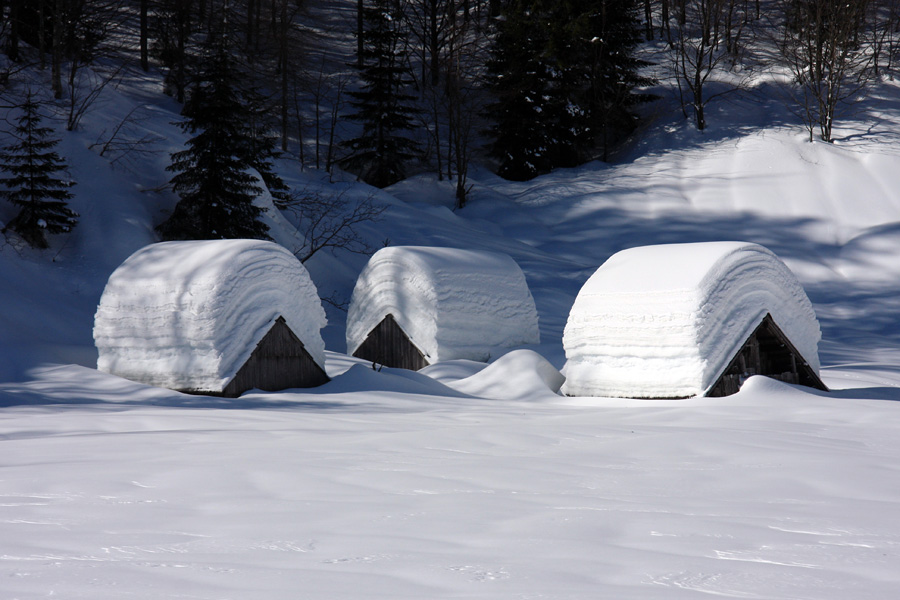Stanovi II.
Stanovi pod debelo snežno odejo. Okrog 2 metra snega. Planina za Črno goro (Ravharska planina).
Ključne besede: planina za črno goro ravharska