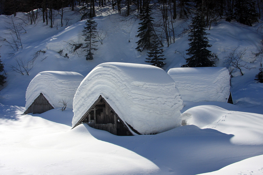 Stanovi I.
Stanovi pod debelo snežno odejo. Okrog 2 metra snega. Planina za Črno goro (Ravharska planina).
Ključne besede: planina za črno goro ravharska
