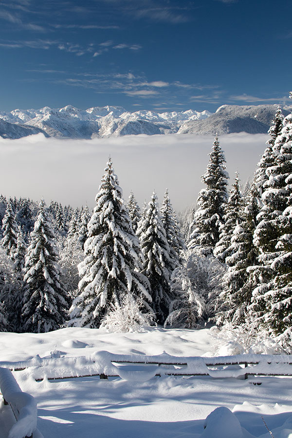 Planina Zajamniki
Megla nad Bohinjsko kotlino.
Ključne besede: planina zajamniki