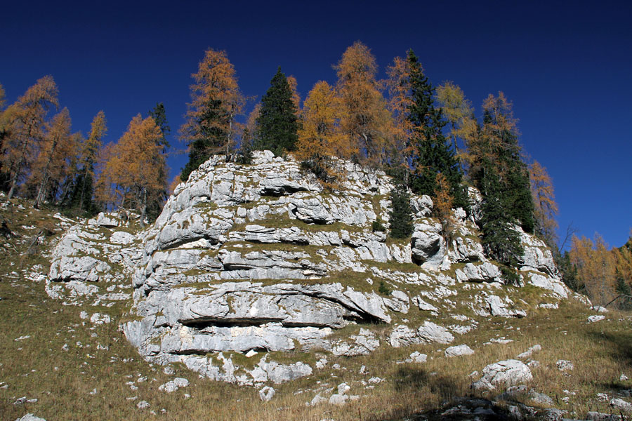 Pot na Velika Vrata II.
S poti na sedlo Velika vrata iz Lopučnice.
Ključne besede: planina lopučnica sedlo velika vrata