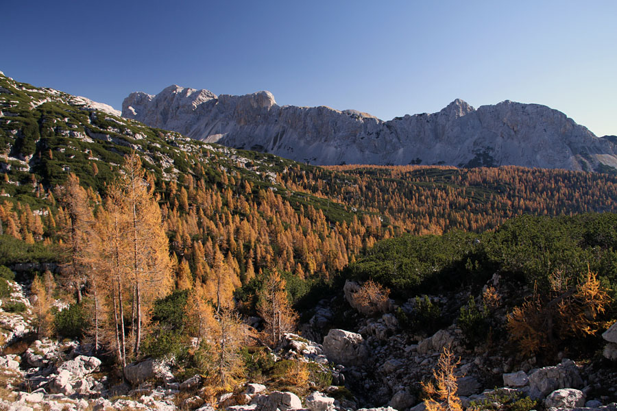 Pod Velikimi Vrati
Nekaj pod vrhom sedla Velika Vrata. Od Zelnaric do Tičaric.
Ključne besede: sedlo velika vrata zelnarica kopica tičarica