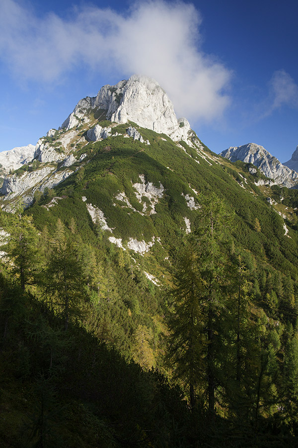 Jezerski Stog
Se pokaže Jezerski Stog.
Ključne besede: jezerski stog